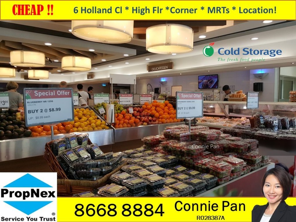 Blk 6 Holland Close (Queenstown), HDB 3 Rooms #111251422
